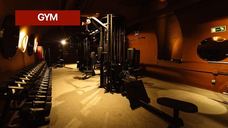 Gimnasio interior con máquinas de fuerza, mancuernas y bancos de pesas en una sala de luz cálida estilo club privado.